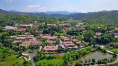 乡村振兴