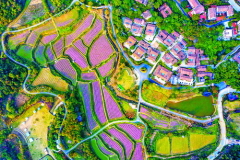 大帽山境寨仔尾